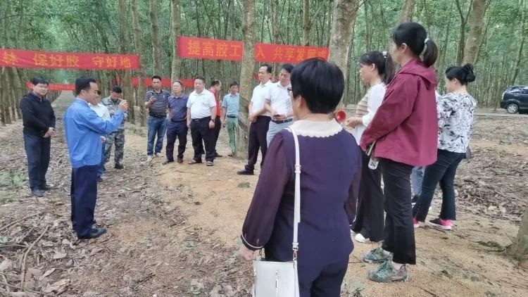 全国割胶冠军张健给各单位学员做标准化胶园建设及割胶技术的经验介绍。.jpg